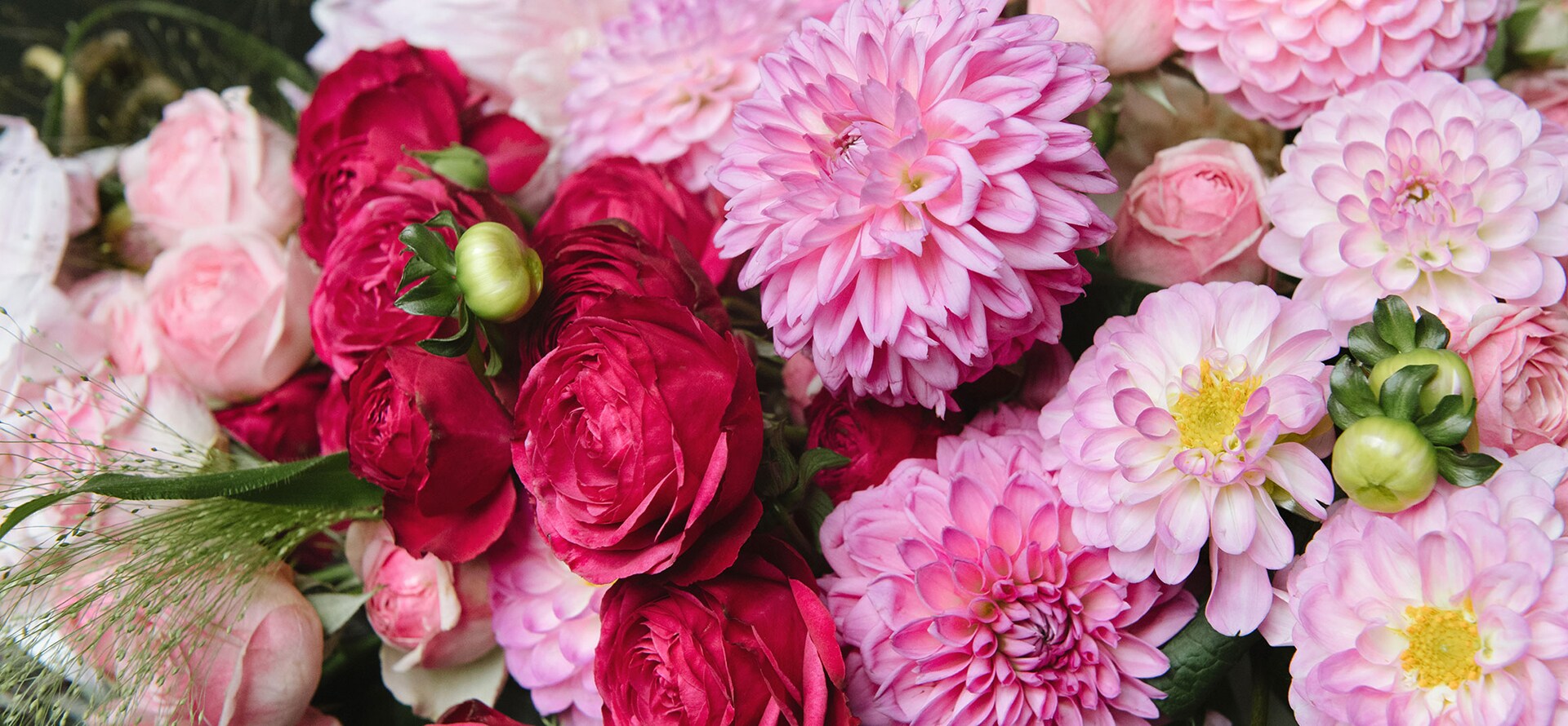 Flower Delivery Garden City Sc Garden Design